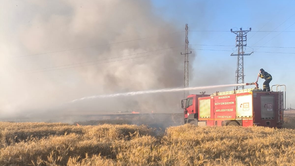Mardin’de 155 dönüm ekili buğday yandı