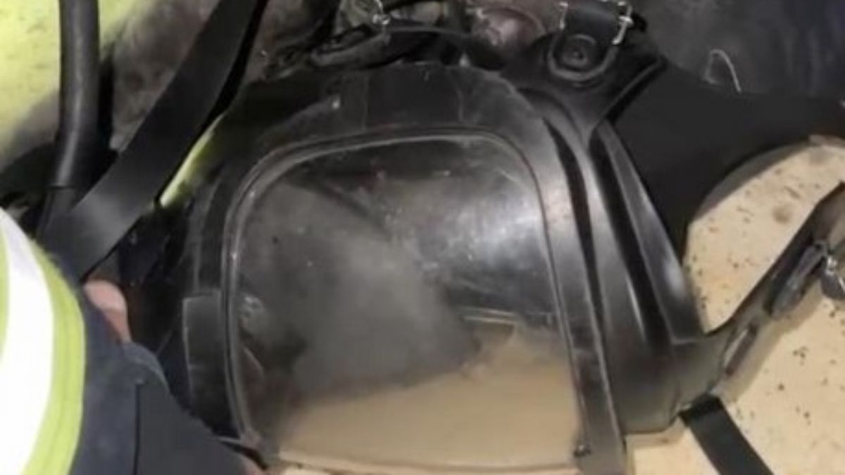 Kastamonu’da dumandan etkilenen kedi, maskeyle kurtarıldı