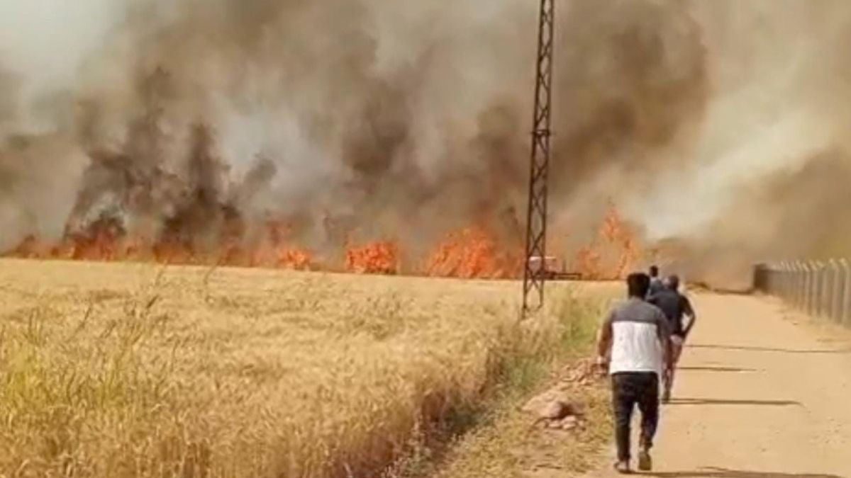 Şanlıurfa’da Harran Ovası’nda 40 dönüm ekili arazi yandı
