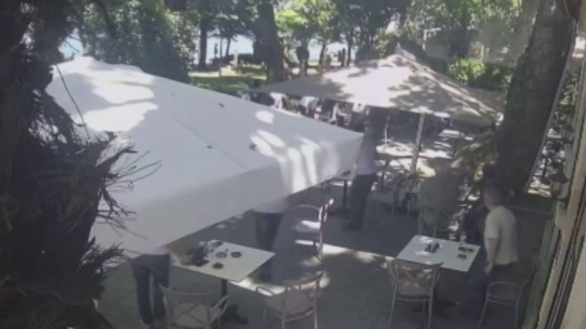 Kocaeli’den çınardan kopan dal can aldı